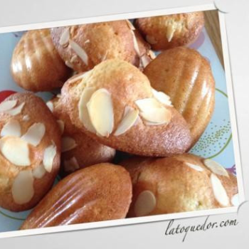Madeleines amandes