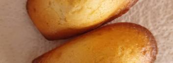Madeleines nature